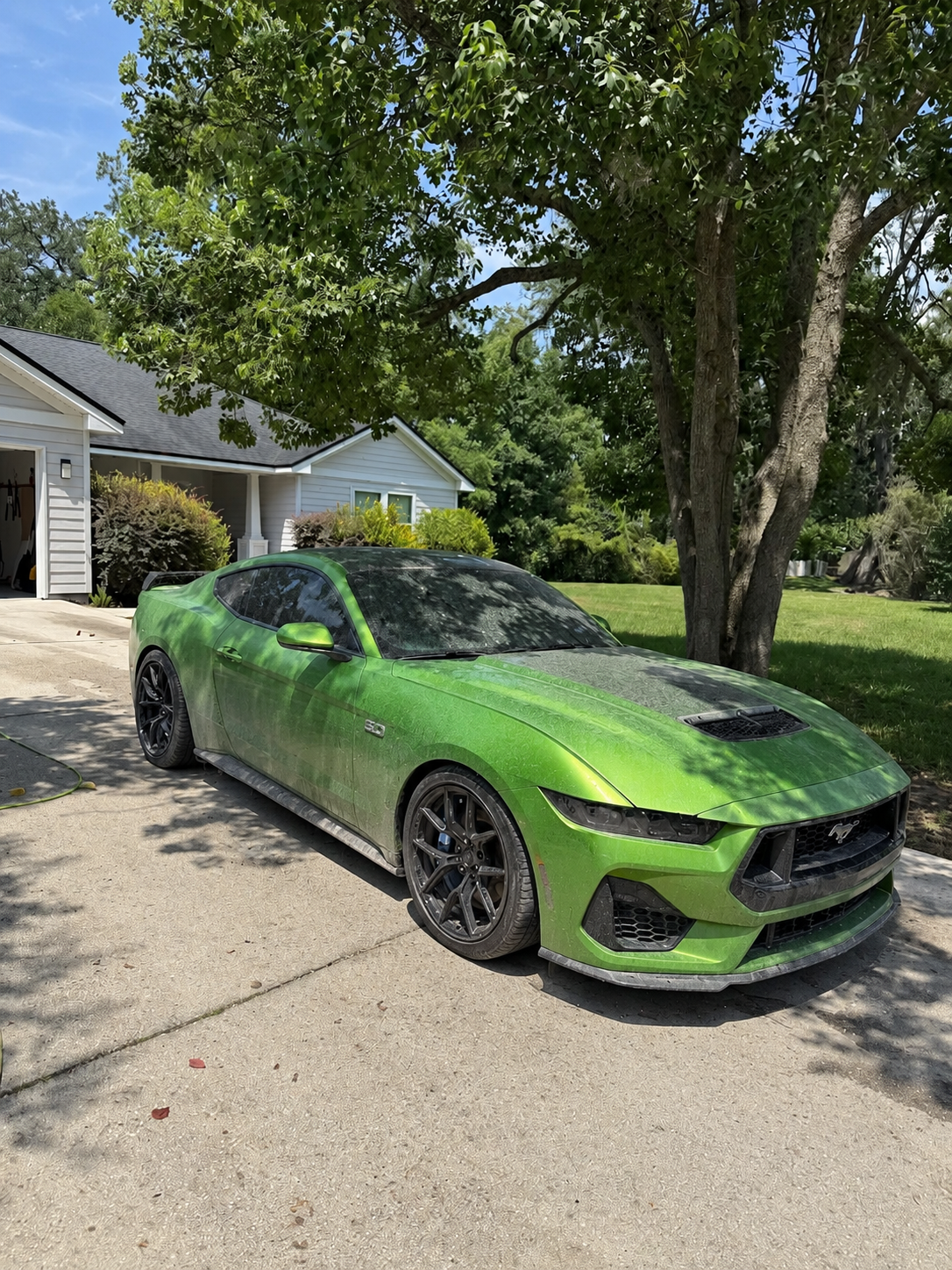 Green Mustang before detailing with light road dirt